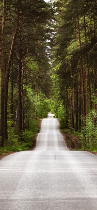 前方的道路壁纸-锐景创意