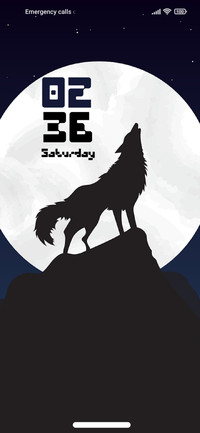 Night Wolf