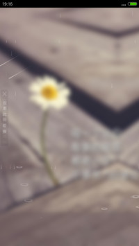 残菊（4D动态流星下雨）