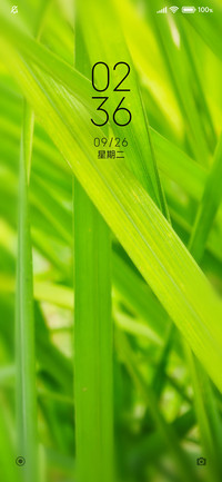 护眼绿草
