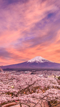 Mount Fuji-PAIXIN