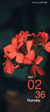 Red Blossom