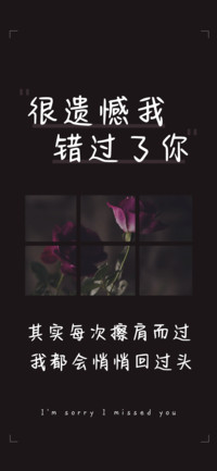 很遗憾我错过了你