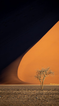 Desert landscapes