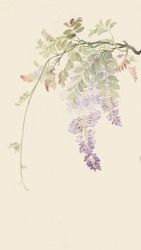 何红玉笔下的花草