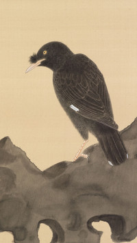 色影低诉 岁月静好