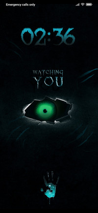 IRIS_DWM2