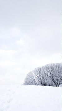 北国雪景-顶晟科技