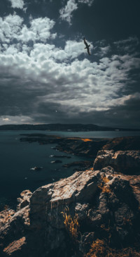 Beauty of Earth 1 (15)