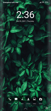 Plants for