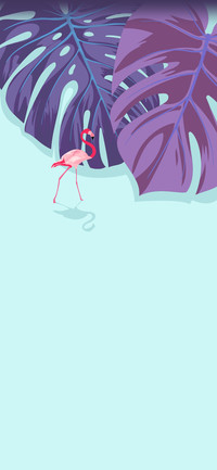 轻夏
