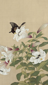 国画中花鸟画的技法