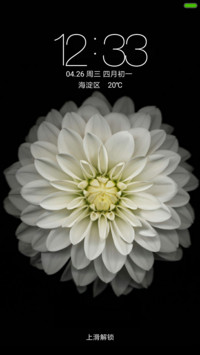 七色花经典版