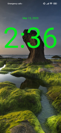 nature shore