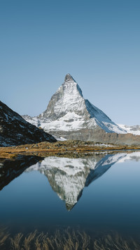 The king of the alps