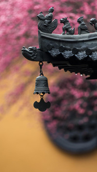 庭院桃花开满园-视觉中国
