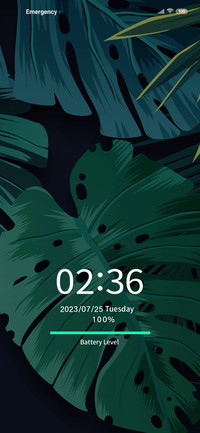 Green leaf grass
