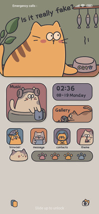 Pet Cat