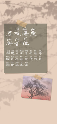 荔枝海盐拼音体