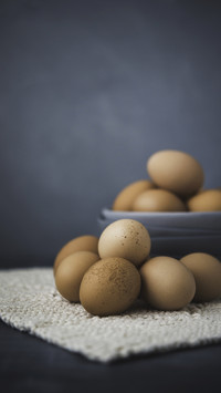 Egg Food New Pattern 3