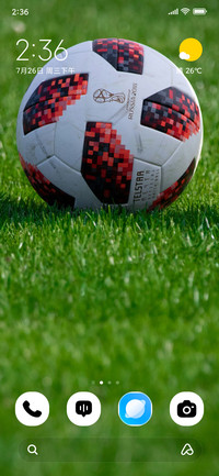 Field Kick