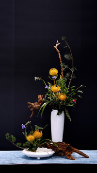Indoor flower arrangement tips 2