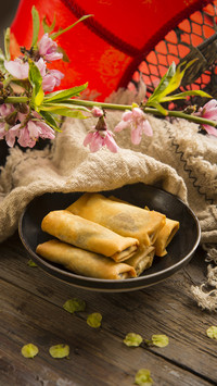 Traditional folk food spring rolls 94