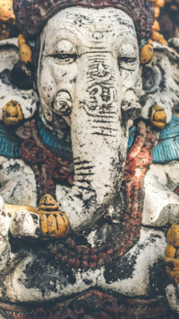 Everything Indian (20)