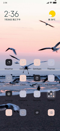 Seagull