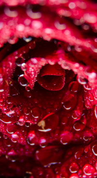 Droplets (37)