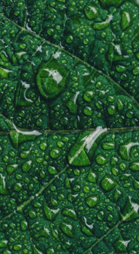Droplets (26)