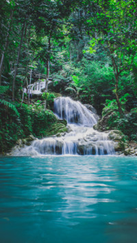 Tropical (19)