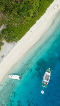 Tropical (12)