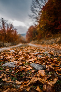 Motion Blur