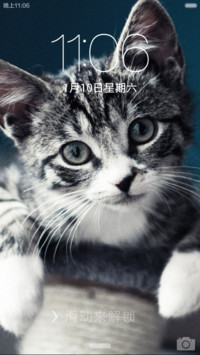 喵星人萌翻了