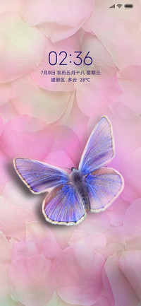 蝴蝶和玫瑰花瓣
