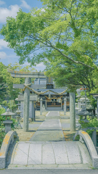 田野乡间的烂漫