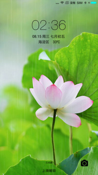 唯美荷花