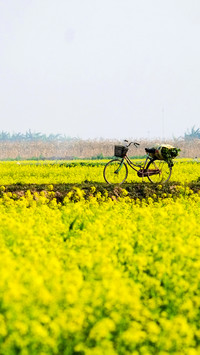 Working in the fields