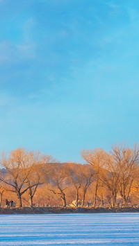 Winter wallpaper-01