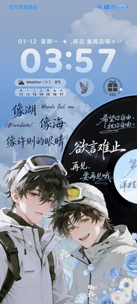 第十七朵 洋桔梗