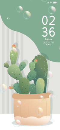 简约仙人掌