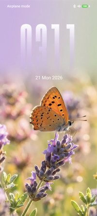 Butterfly Bloom