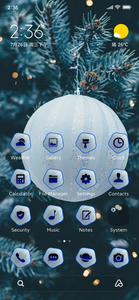 Christmas Fine