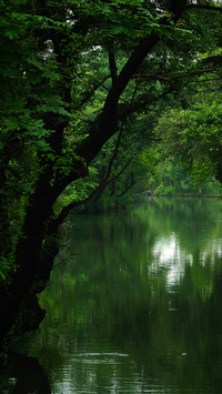 Late spring in xixi