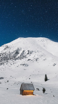 Winter Snow Scenery