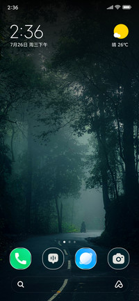 Lone Walker