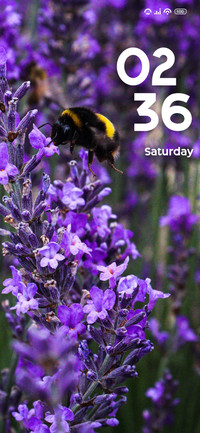 Bee