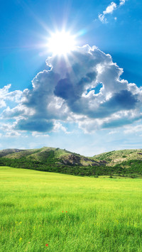 Green grass and blue sky