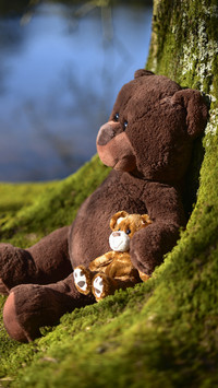 toy (14)